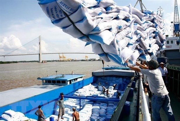 Gạo chiếm 20% tổng kim ngạch xuất khẩu của Việt Nam sang châu Phi (Ảnh minh họa. Nguồn:TTXVN)