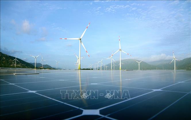 Chung tay bảo vệ sự sống trên Trái đất Chú thích ảnh