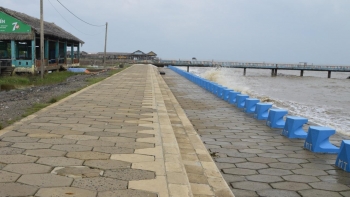 Hiệu quả từ mô hình thâm canh sầu riêng thích ứng với biến đổi khí hậu