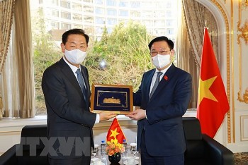 Việt Nam -Hàn Quốc 