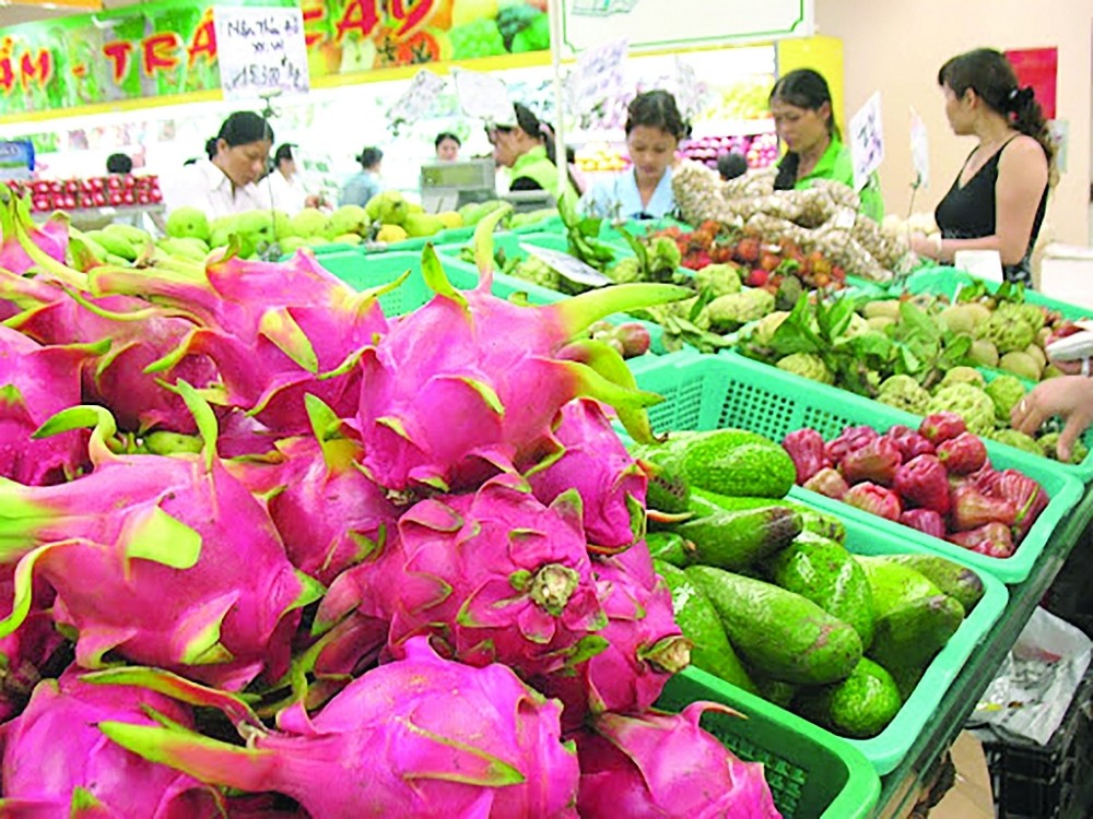 Doanh nghiệp Việt Nam cần có chiến lược để cung cấp một số mặt hàng nông sản, nông sản chế biến cho các hệ thống bán lẻ của Nga Doanh nghiệp Việt Nam cần có chiến lược để cung cấp một số mặt hàng nông sản, nông sản chế biến cho các hệ thống bán lẻ của Nga