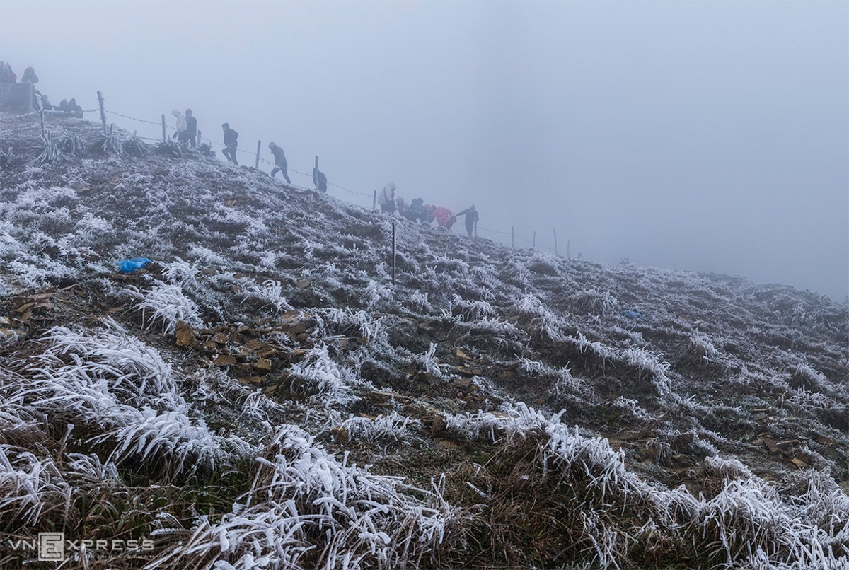 Frost gives Vietnam's northern provinces a new look In Lang Son, things got frosted up at the top of Mau Son from January 8. The temperature stays at minus 2 or minus 3 degrees Celcius in the last two days. Since this year's winter comes, this is the first time Lang Son puts on such a frosty coat (Photo: VNE)