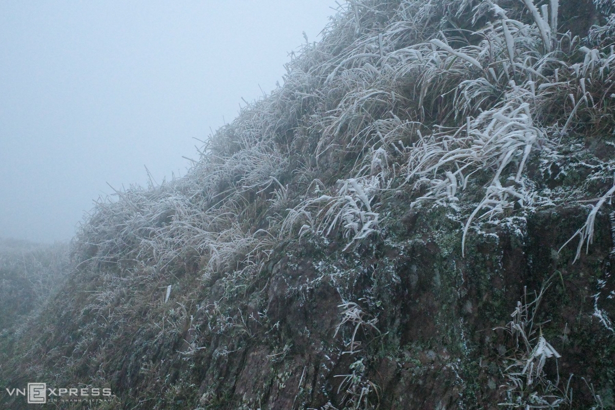 Frost gives Vietnam's northern provinces a new look In Quang Ninh, frost appeared at the top of Dong pagoda, Yen Tu (Uong Bi city); landmark 1297 area bordering Binh Lieu district (Quang Ninh) and Dinh Lap district (Lang Son). At the top of Cao Ly mountain (Binh Lieu district), 1,000 m higher than sea level, ice is covered with trees and cliffs. (Photo: VNE)