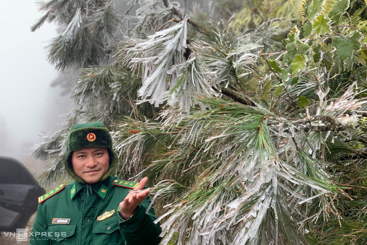 Frost gives Vietnam's northern provinces a new look In Lao Cai, ice also appeared in Y Ty commune, Bat Xat district and Sa Pa town. According to border officials, most of the tree tops along the patrol border are covered with frost (Photo: VNE)