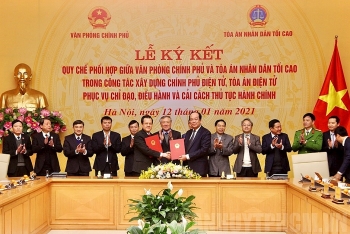 regulation on coordination in building e government and court signed video