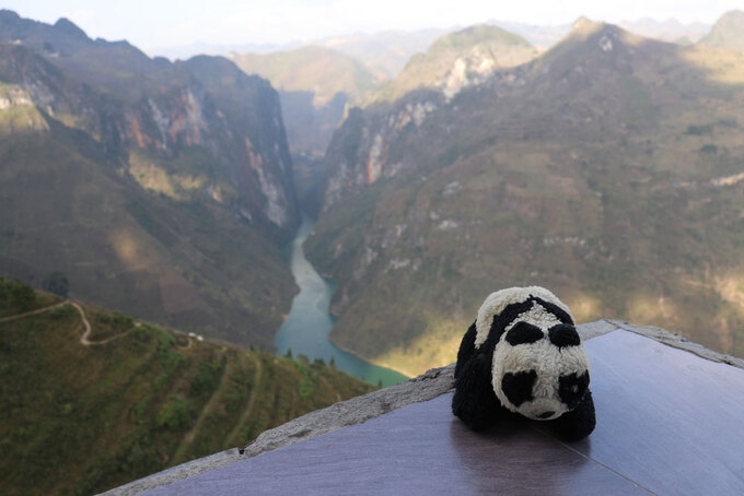 Expat travel across Vietnam in the company of Teddy bear Expat travel across Vietnam in the company of Teddy bear