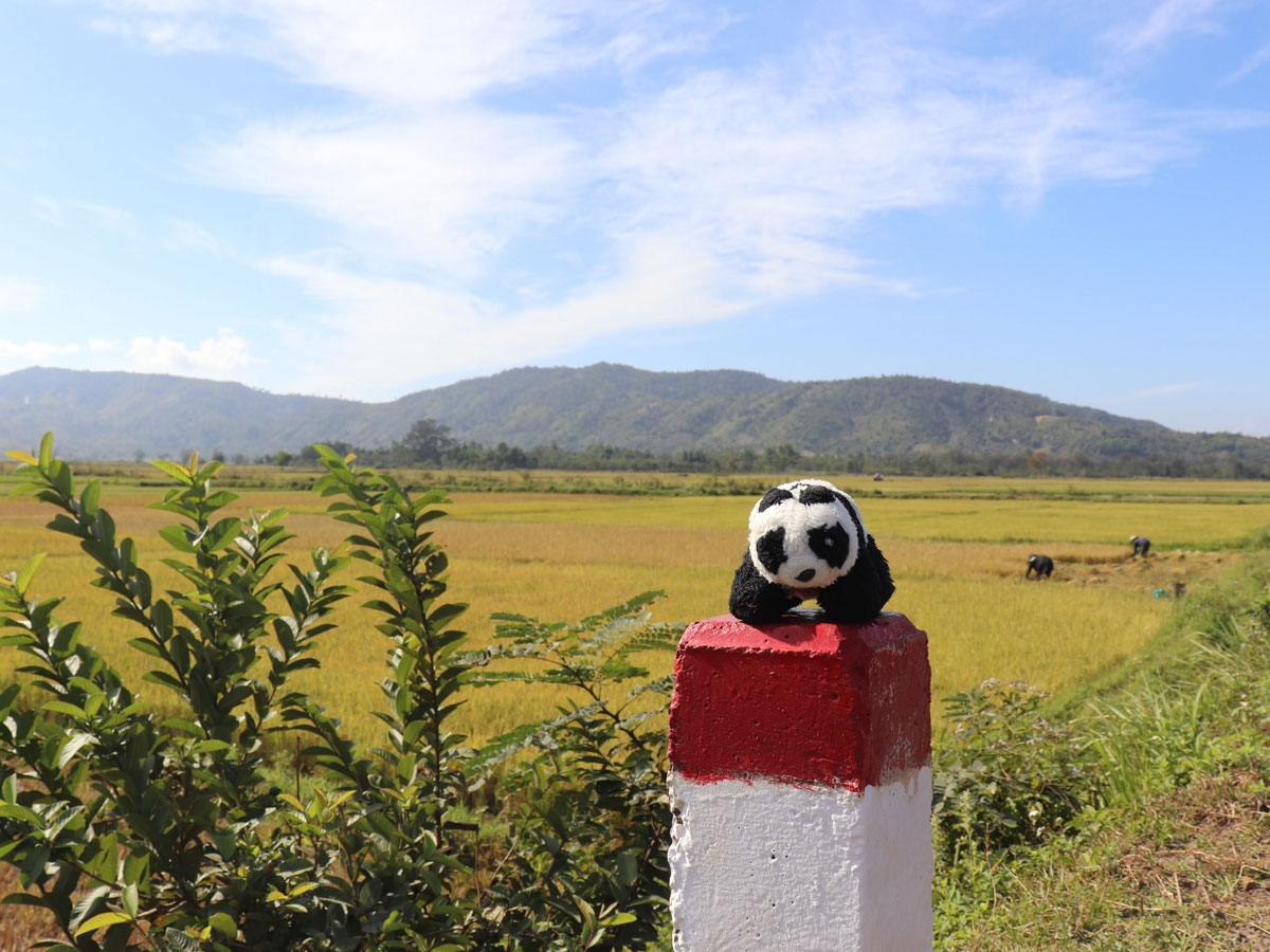 Expat travel across Vietnam in the company of Teddy bear Expat travel across Vietnam in the company of Teddy bear