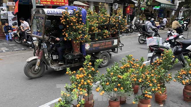 Bustling joys in Hanoi's oldest Tet flower market Bustling joys in Hanoi's oldest Tet flower market