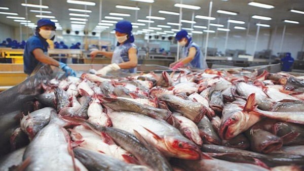 Seafood Export Beat Yearly Target, Rake in US 8.9 Billion Seafood Export Beat Yearly Target, Rake in US 8.9 Billion