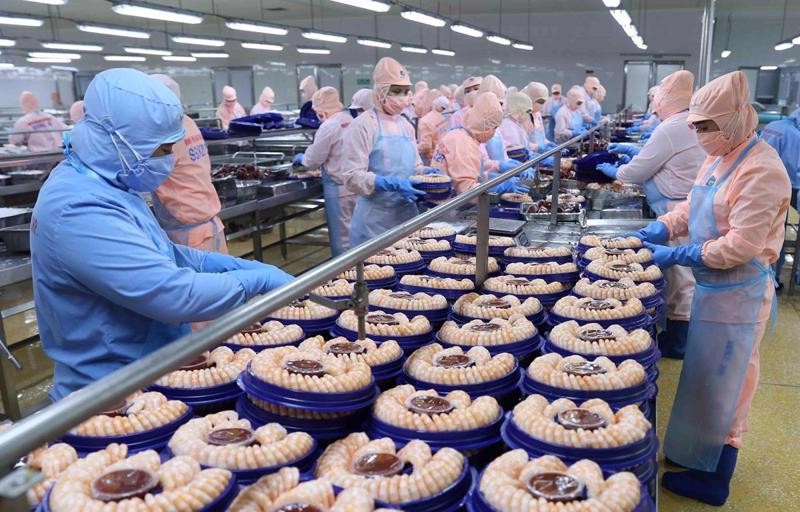 Seafood Export Beat Yearly Target, Rake in US 8.9 Billion Seafood Export Beat Yearly Target, Rake in US 8.9 Billion