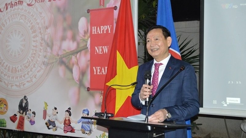 Overseas Vietnamese Across Nations Celebrate Lunar New Year Overseas Vietnamese Across Nations Celebrate Lunar New Year