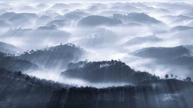 Agora names four Vietnamese photos top 50 stunning nature shots agora names four vietnamese photos top 50 stunning nature shots