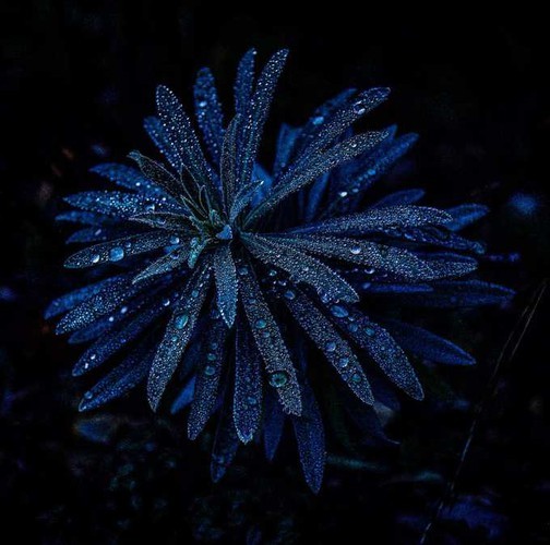 Agora names four Vietnamese photos top 50 stunning nature shots agora names four vietnamese photos top 50 stunning nature shots