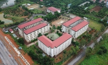 successful vietnamese ameicans head their heart to homecountry