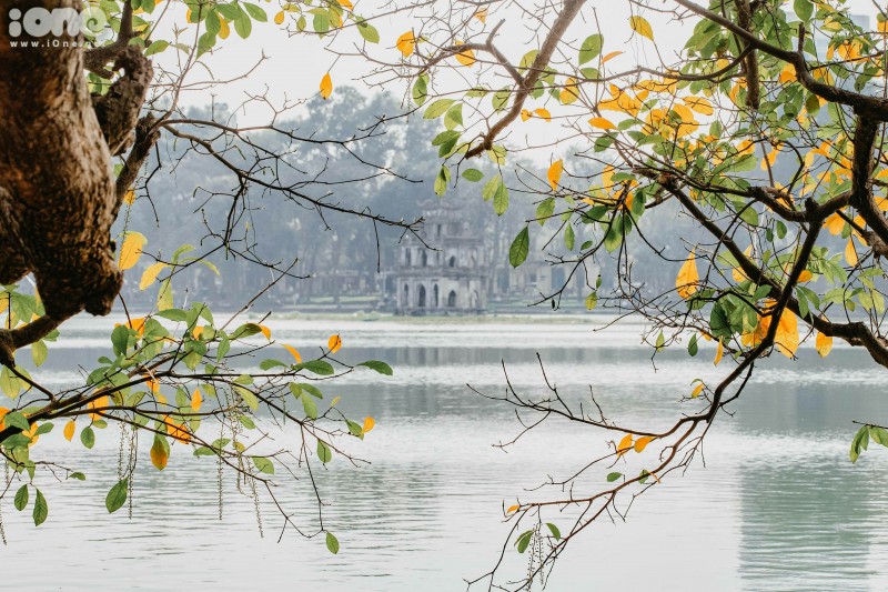 Gorgeous Hanoi in deciduous season gorgeous hanoi in deciduous season