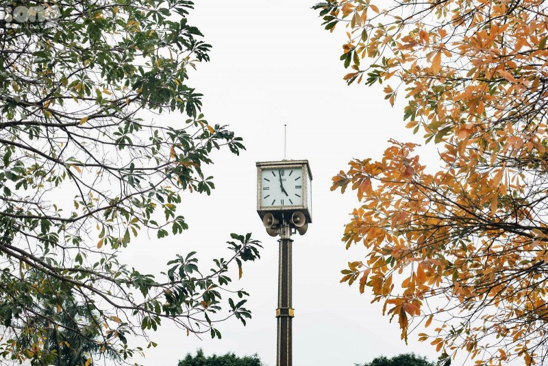 Gorgeous Hanoi in deciduous season gorgeous hanoi in deciduous season