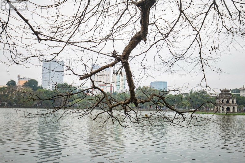 Gorgeous Hanoi in deciduous season gorgeous hanoi in deciduous season