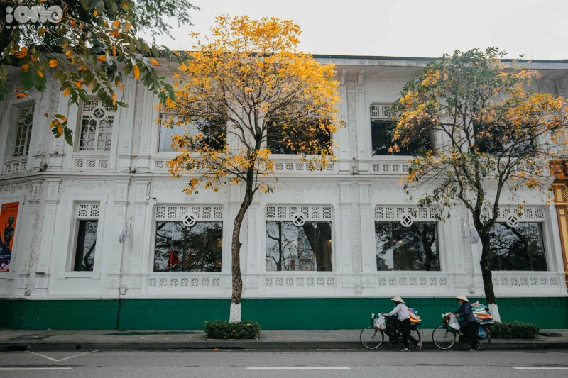 Gorgeous Hanoi in deciduous season gorgeous hanoi in deciduous season