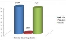 Vietnam export activities achieve good growth amid COVID-19 epidemic