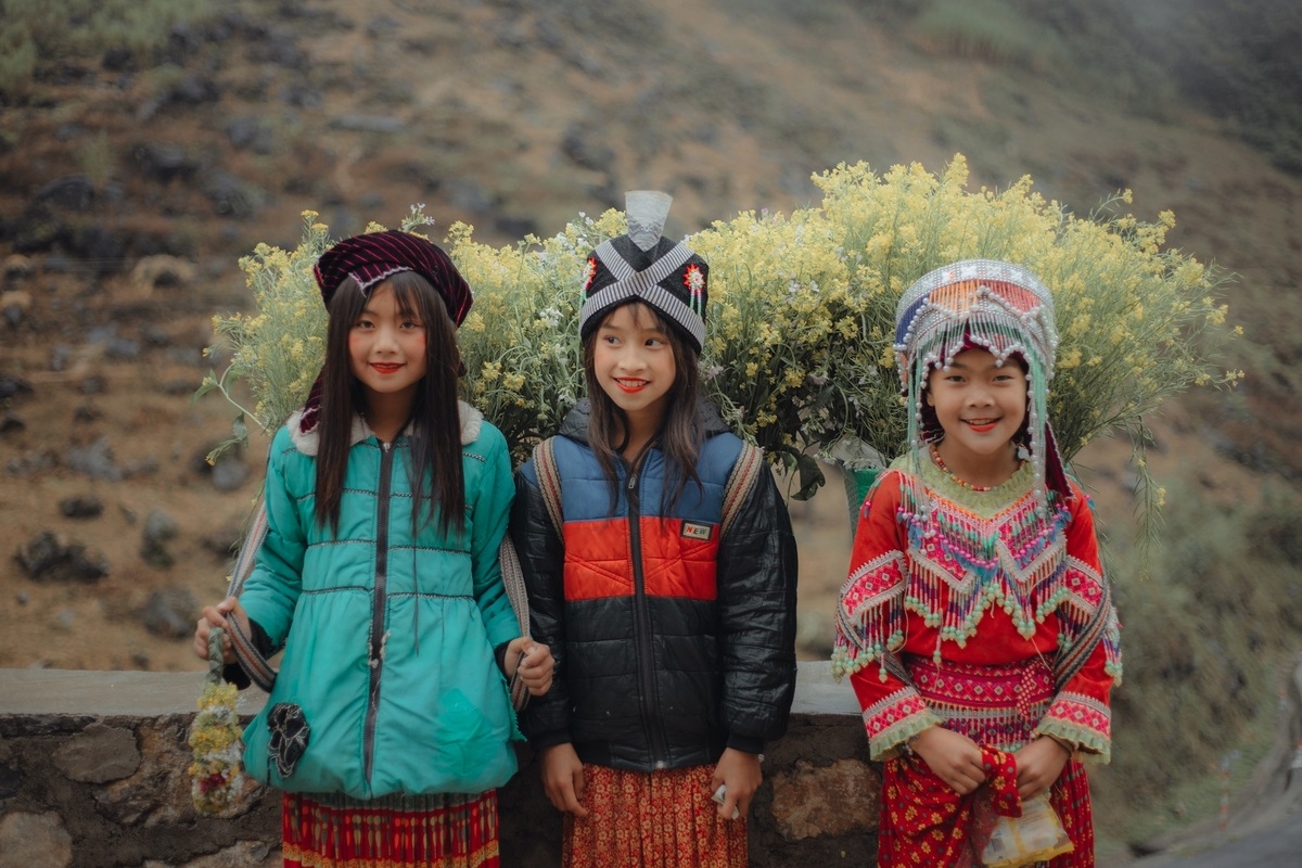 Impressive flower photo collection across Vietnam from a fresh photographer Impressive flower photo collection across Vietnam from a fresh photographer