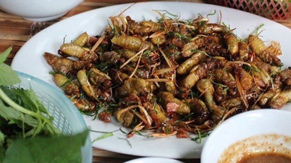 Dried milk cicadas, the taste of Son La dried milk cicadas the taste of son la