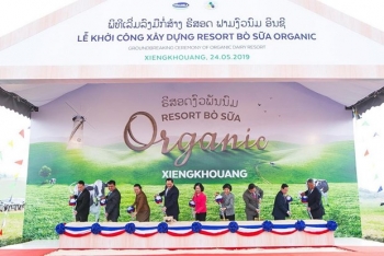 dairy giants make huge investment as vietnam ramps up milk production