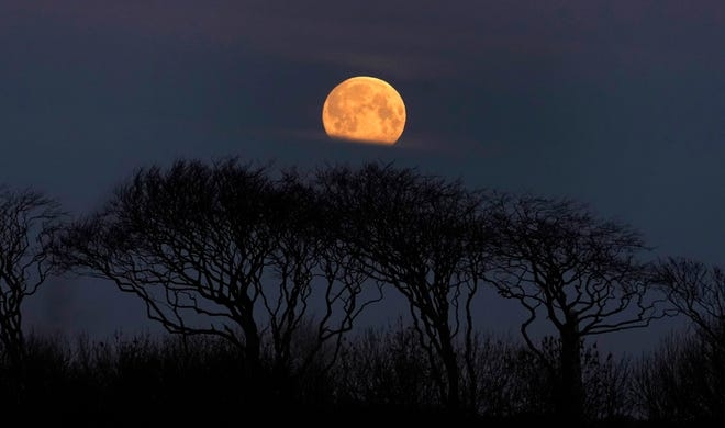 2020's April pink moon: calming respite from COVID-19 pandemic 2020s april pink moon calming respite from covid 19 pandemic