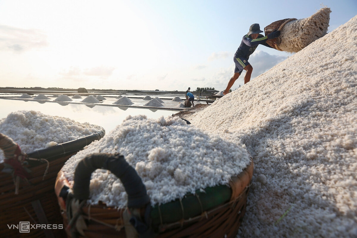 Picturesque salt fields in Bac Lieu, Southern Vietnam picturesque salt fields in bac lieu southern vietnam