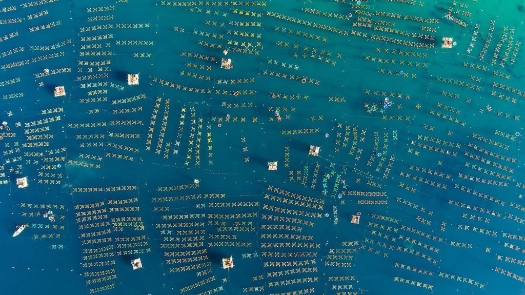 Mesmerizing Vietnam aerial photos on National Geographic magazine gorgeous vietnam appears in national geographic magazine