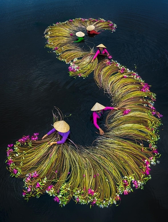 Two Vietnamese photographers’ snapshots among int’l shortlists two vietnamese photographers shots among intl shortlists