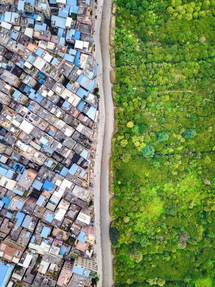 Two Vietnamese photographers’ snapshots among int’l shortlists two vietnamese photographers shots among intl shortlists