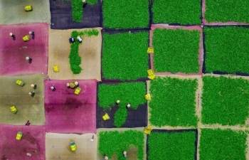hoang thuy listed among top 100 beauties in the world