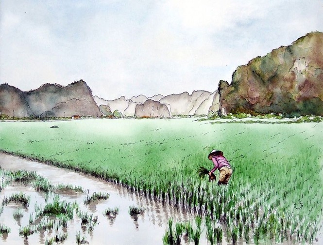 A French tourist draws Vietnam unique beauties his way a french tourist draws vietnam unique beauties his way
