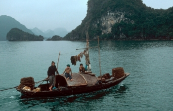 mesmerizing bays in vietnam to draw tourists