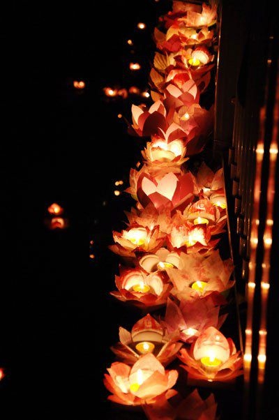 2020 Vesak Festival to be broadcasted online 2020 vesak festival to be broadcasted online