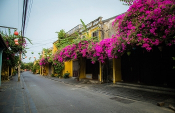 vietnam launches stay at home with vietnam kit for travel lovers worldwide