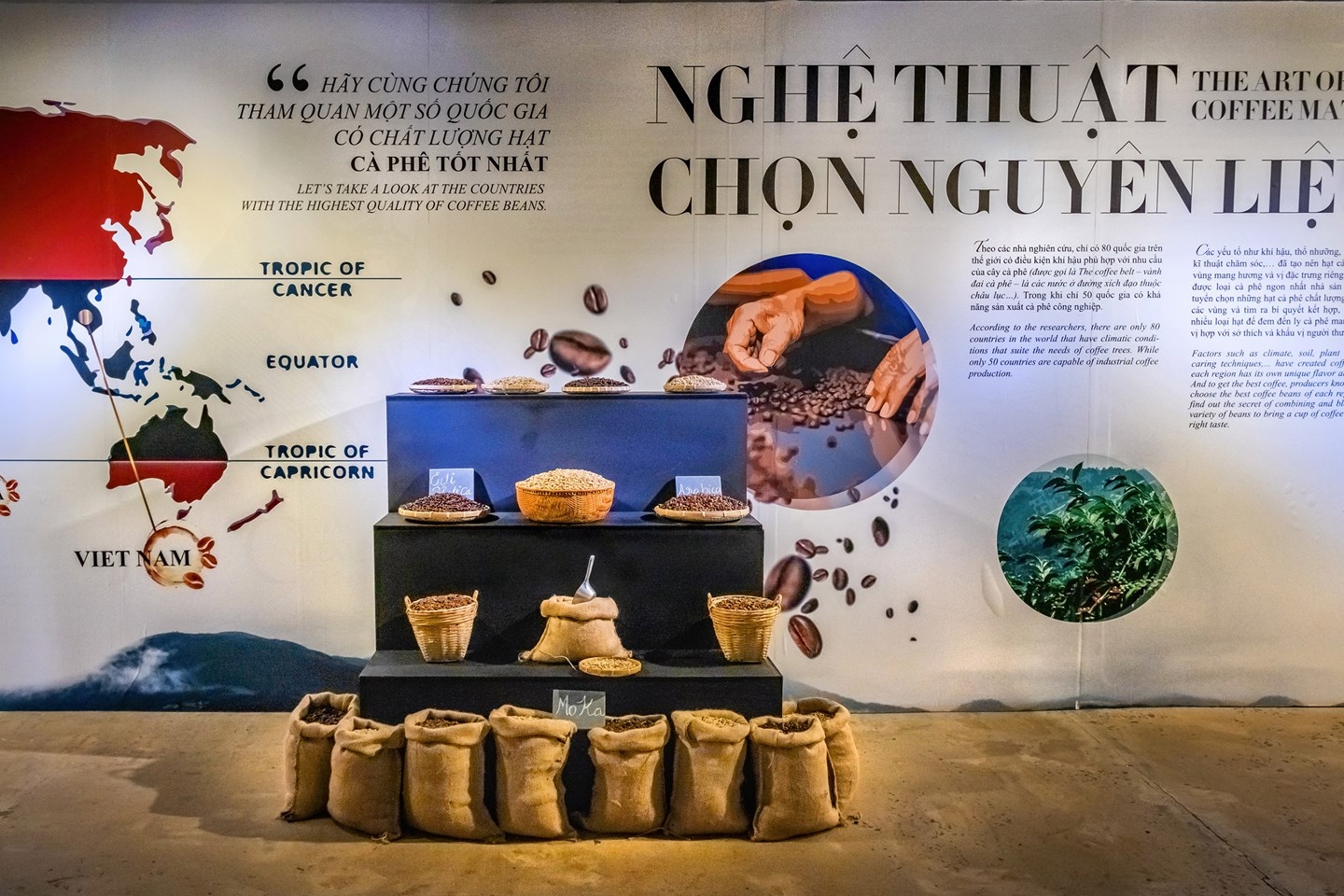 Wanderlust lists out 12 must-do things in Vietnam wanderlust lists out 12 must do things in vietnam