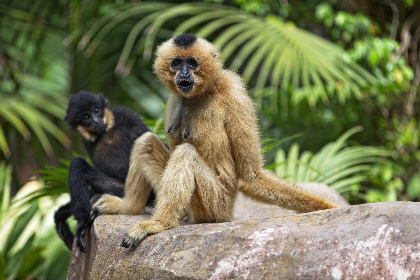 Wanderlust lists out 12 must-do things in Vietnam wanderlust lists out 12 must do things in vietnam