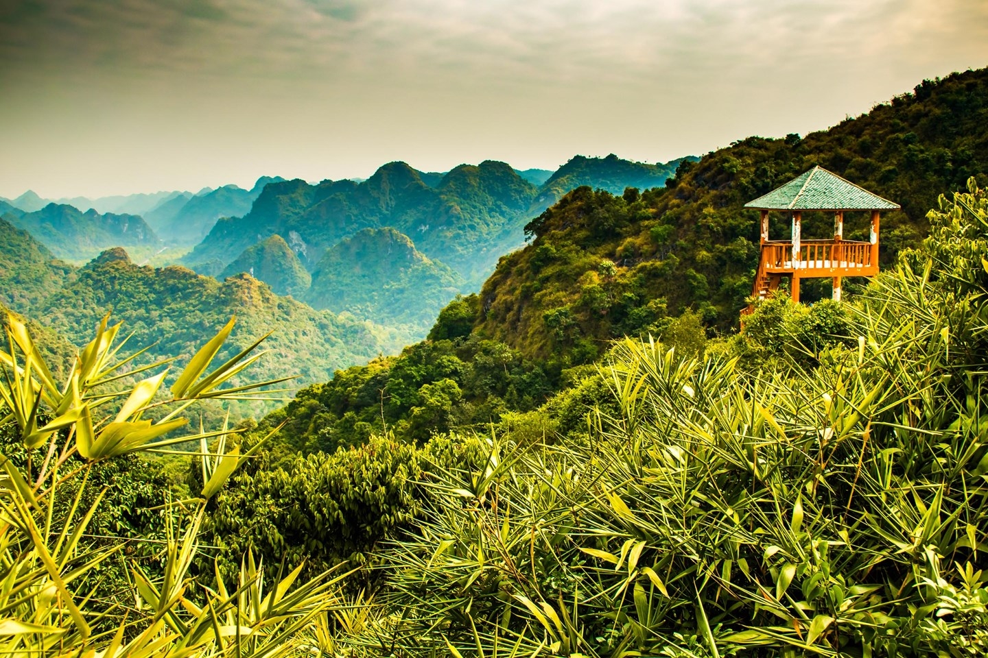 Wanderlust lists out 12 must-do things in Vietnam wanderlust lists out 12 must do things in vietnam
