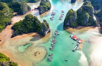 leonardo dicaprio calls for protection of vietnams lan ha bay