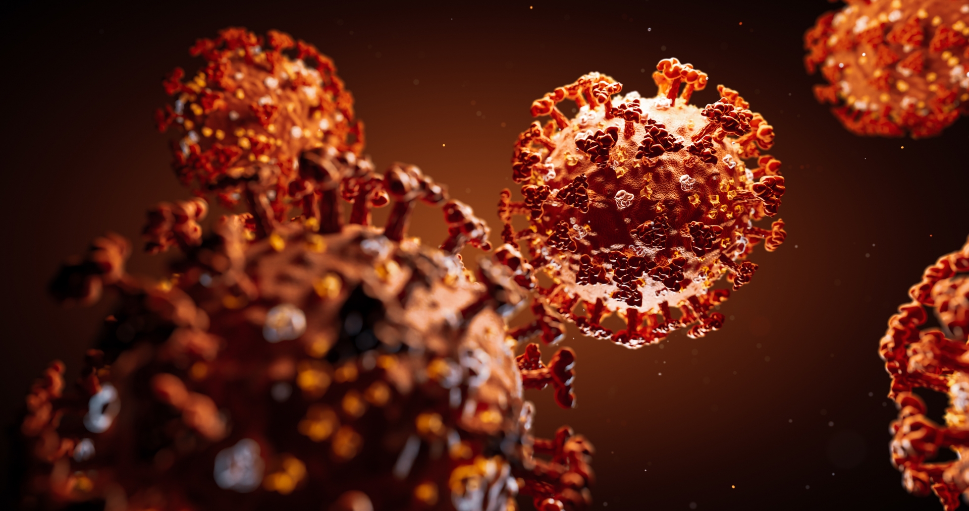Coronavirus breakthrough: German scientist find antibodies blocks infection by SARS-CoV-2 in cells coronavirus breakthrough german scientist find antibodies blocks infection by sars cov 2 in cells