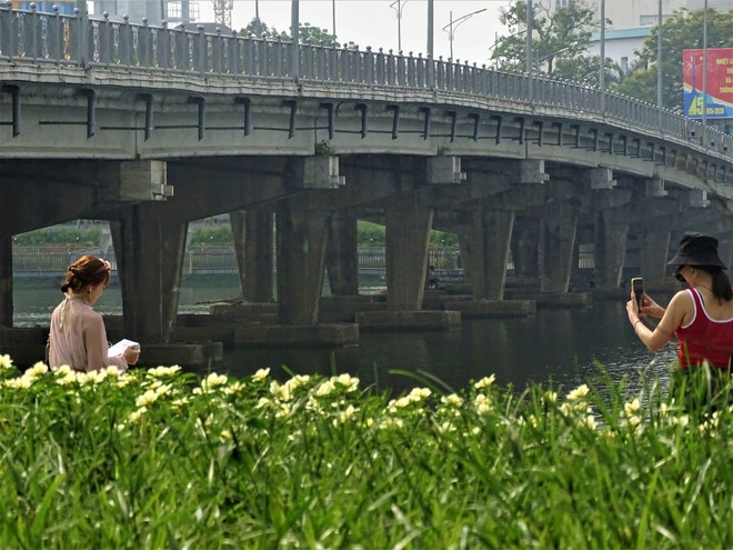 hue draws attentions with summer flower carpets