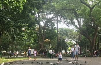 hcm city to build more public parks