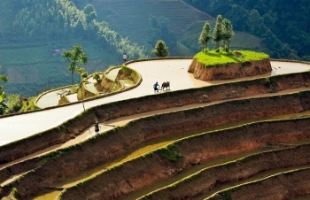 a russian engineer gets addicted to vietnam after journeying across the country