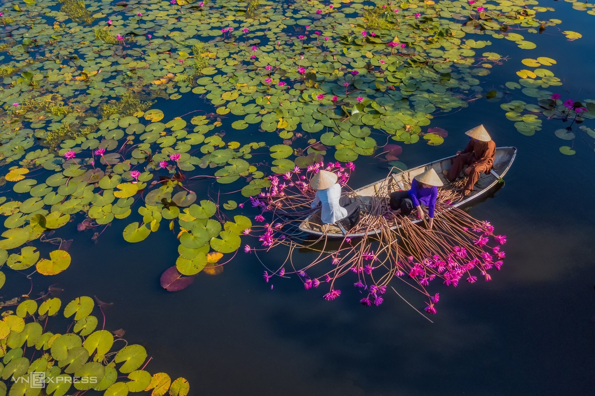 Water lily lagoon at the foot of Eo Gio pass Water lily lagoon at the foot of Eo Gio pass