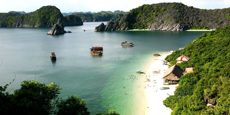 Leonardo DiCaprio calls for protection of Vietnam’s Lan Ha Bay leonardo dicaprio calls for protection of vietnams lan ha bay