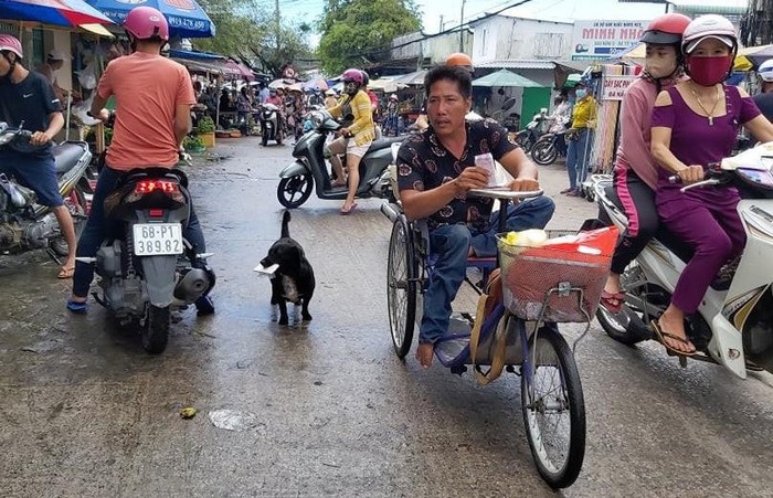 Dog helps Vietnamese handicapped owner sell lottery ticket, pick up charitable rice dog with lottery tickets on mouth helps handicapped owner earn a livelihood