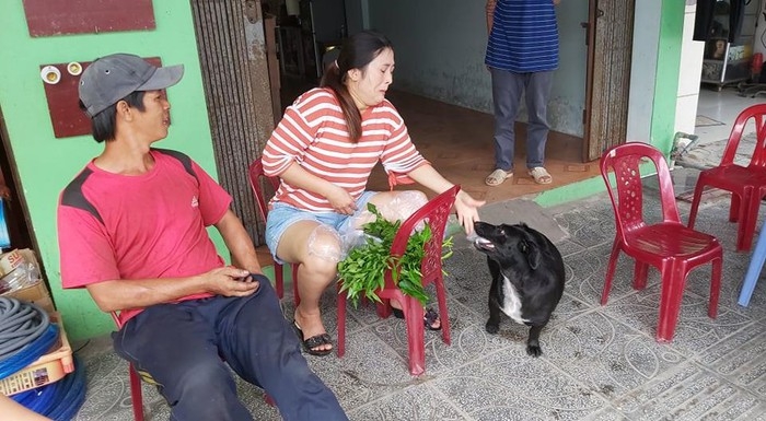 Dog helps Vietnamese handicapped owner sell lottery ticket, pick up charitable rice dog with lottery tickets on mouth helps handicapped owner earn a livelihood