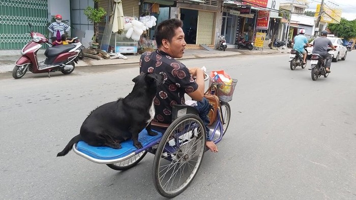 Dog helps Vietnamese handicapped owner sell lottery ticket, pick up charitable rice dog with lottery tickets on mouth helps handicapped owner earn a livelihood