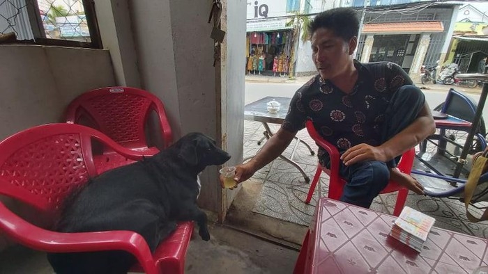 Dog helps Vietnamese handicapped owner sell lottery ticket, pick up charitable rice dog with lottery tickets on mouth helps handicapped owner earn a livelihood